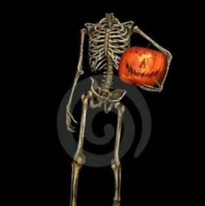 Meet your Posher, Max